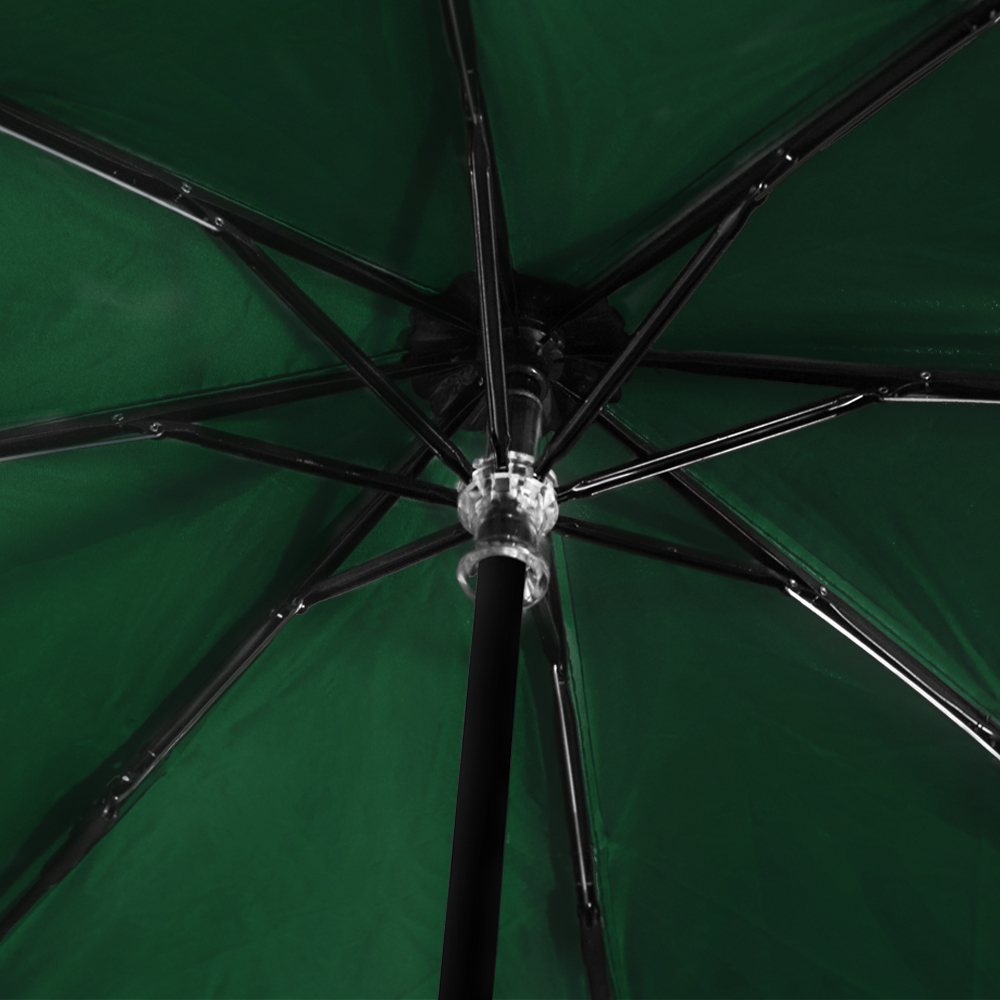 Зонт Glamour, черно-зеленый (Фото)