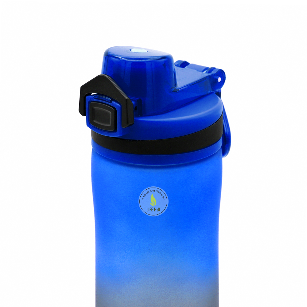 Пластиковая бутылка Verna Soft-touch, синяя (Фото)