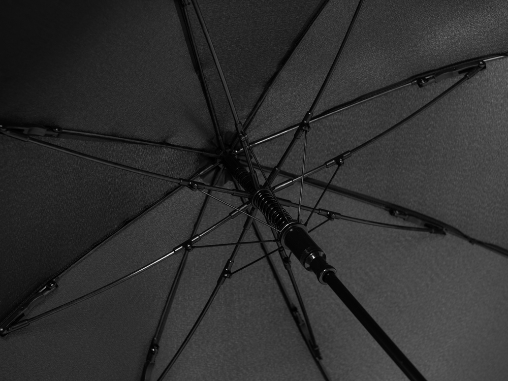 Зонт-трость Giant с большим куполом (Фото)