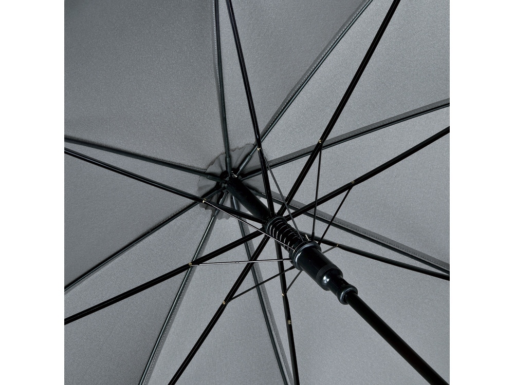 Зонт-трость Dandy с деревянной ручкой (Фото)