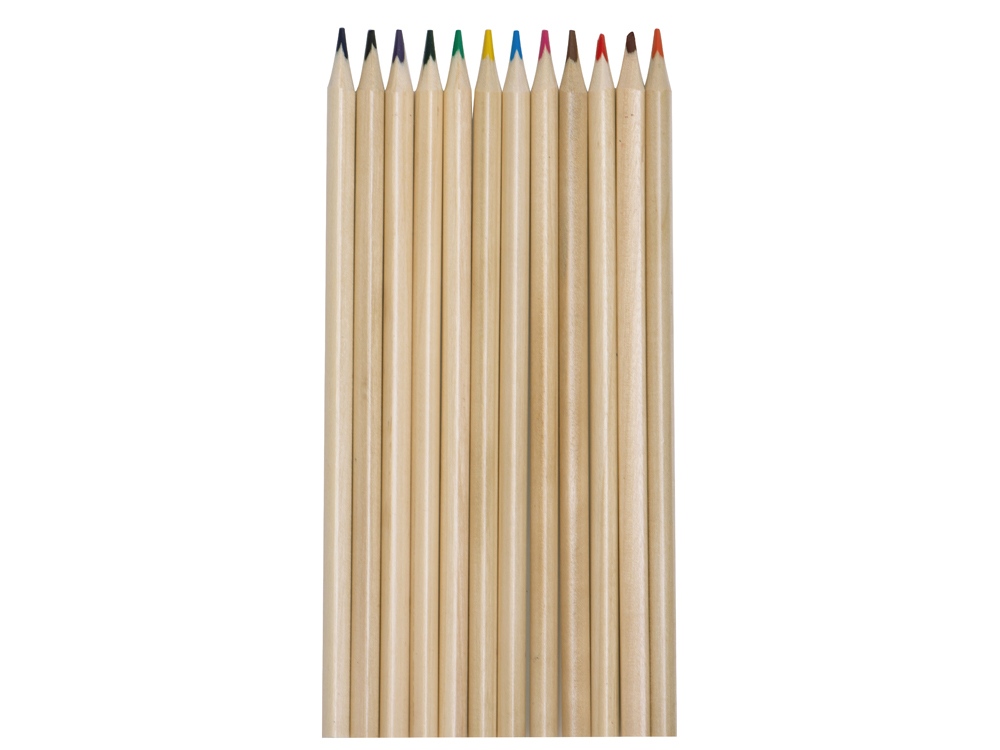 Набор из 12 трехгранных цветных карандашей Painter (Фото)