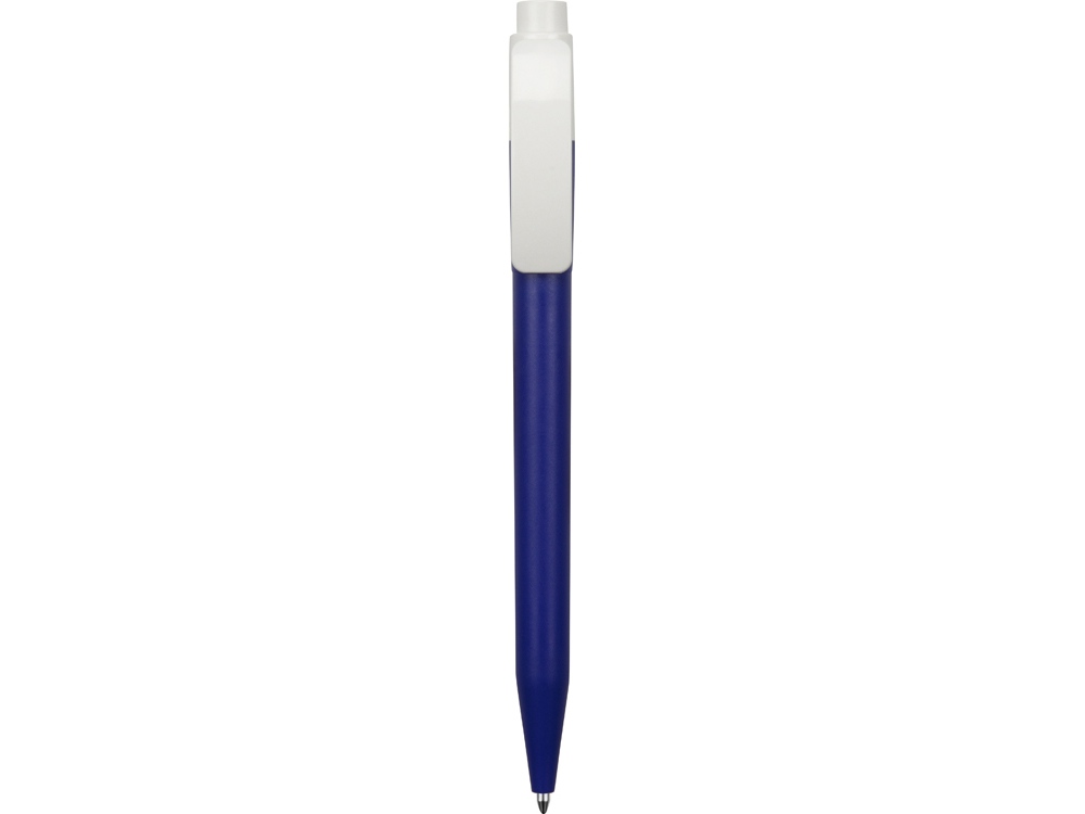 Ручка пластиковая шариковая Pixel KG F (Фото)
