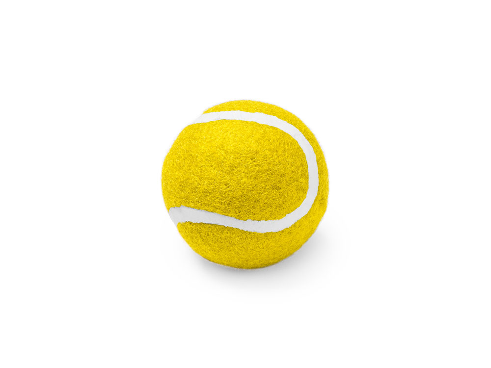 Мяч для домашних животных LANZA (Фото)