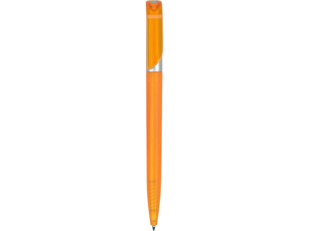 Ручка пластиковая шариковая Арлекин (Фото)