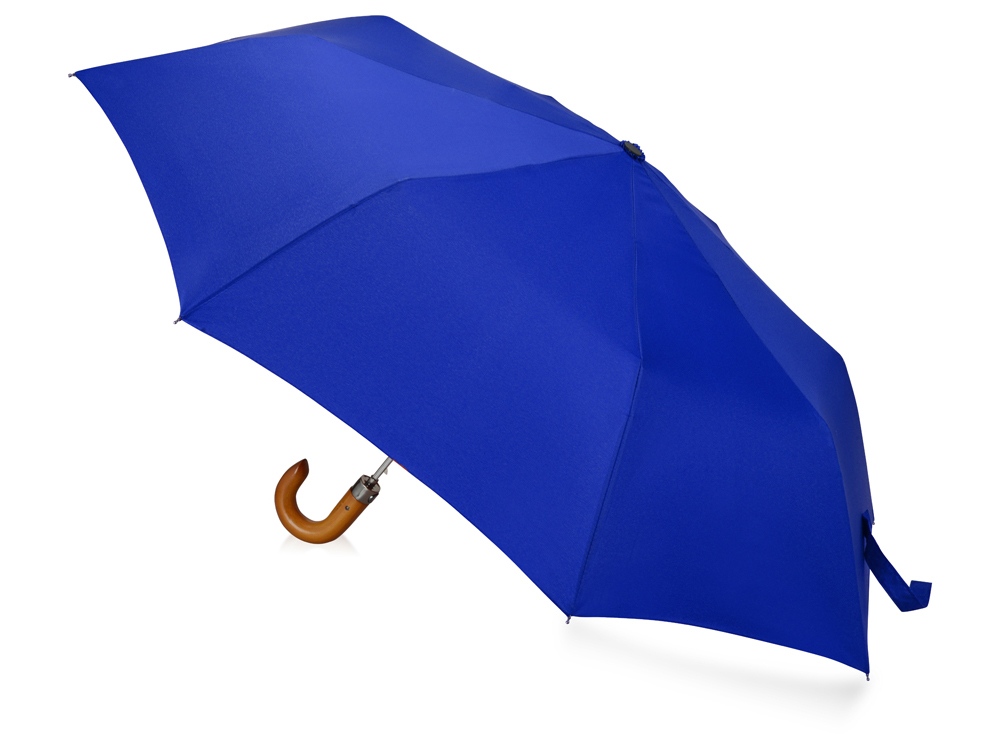 Зонт складной Cary (Фото)