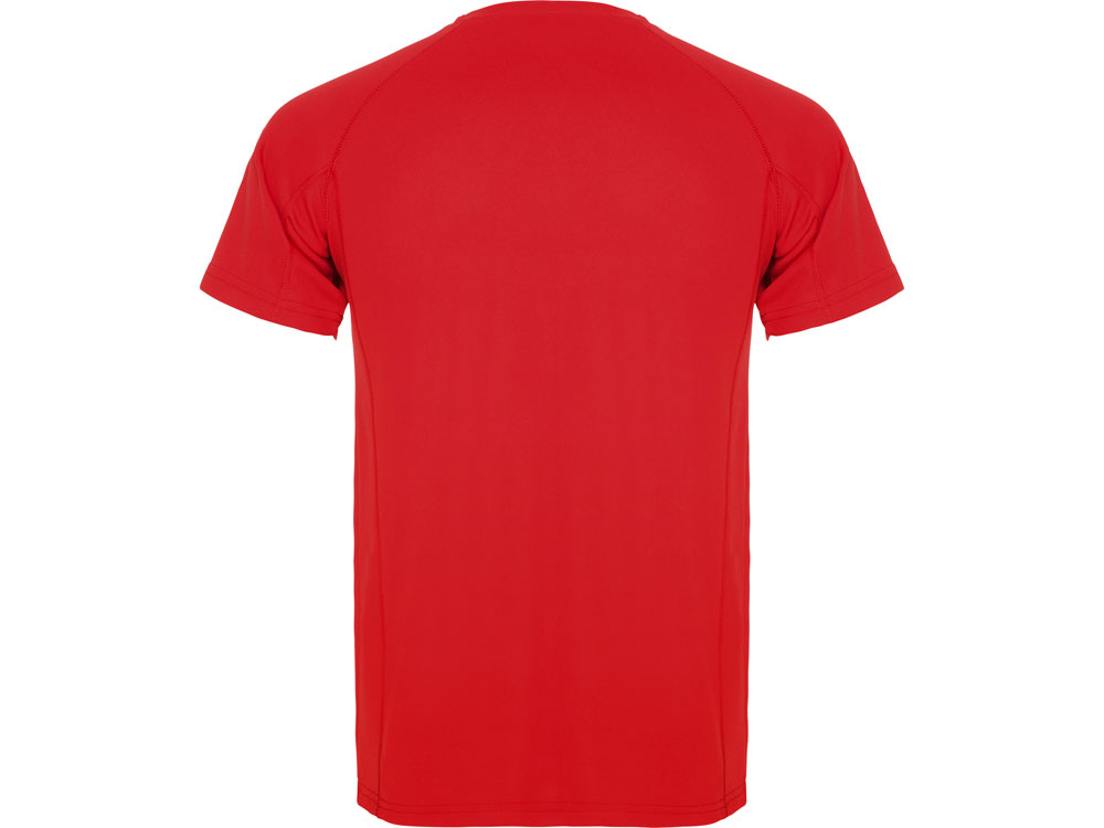 Спортивная футболка Montecarlo мужская (Фото)