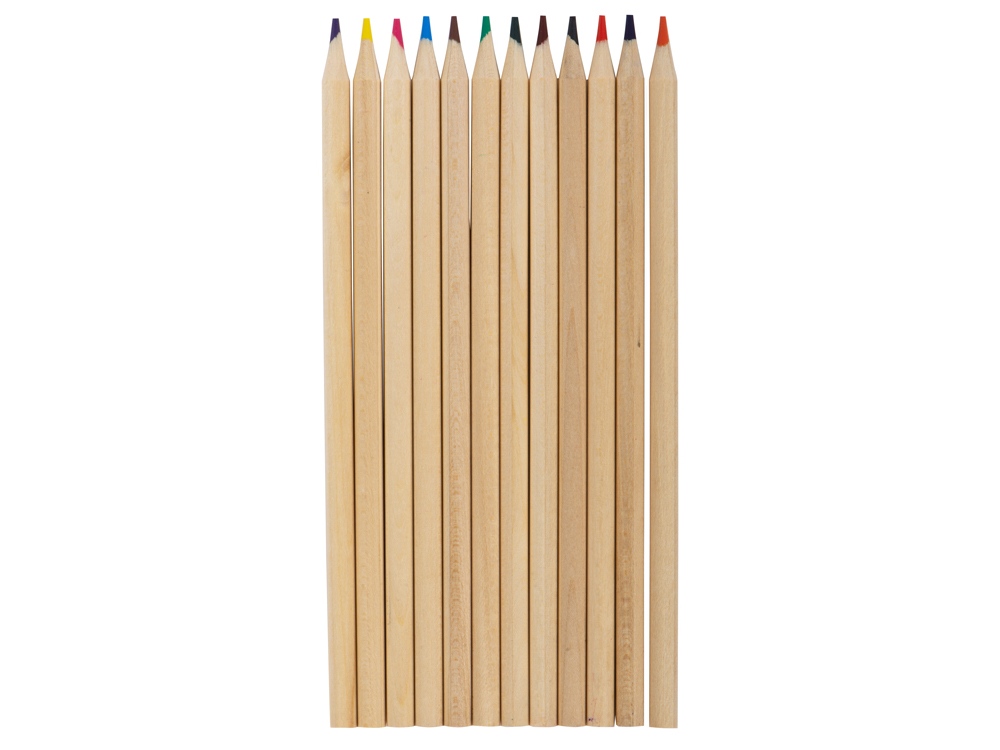Набор из 12 карандашей Paint (Фото)