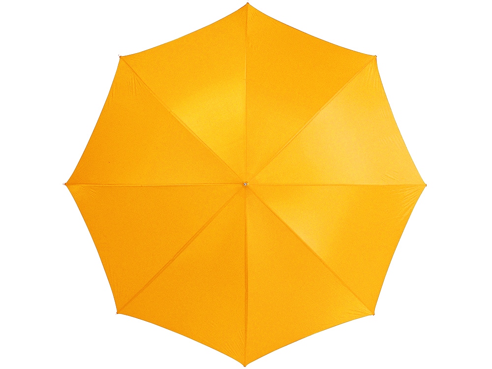 Зонт-трость Lisa (Фото)