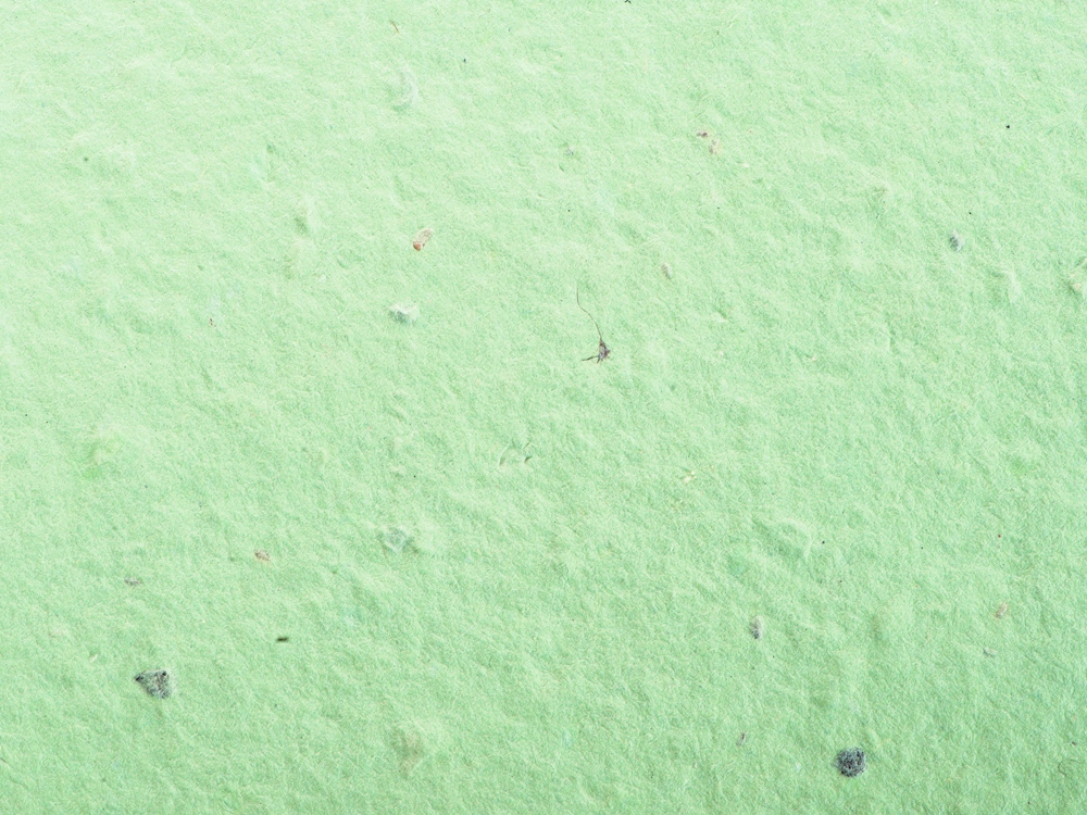 Блокнот А6 с бумажным карандашом и семенами цветов микс (Фото)