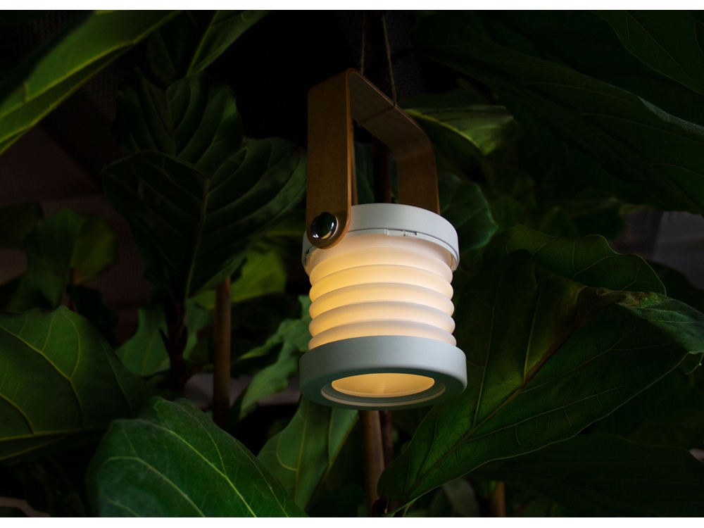 Настольная лампа LED Oko (Фото)