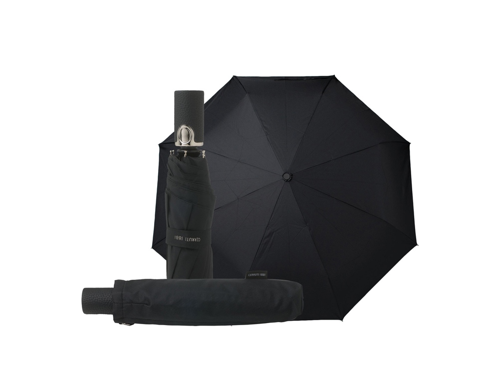 Зонт складной Hamilton (Фото)