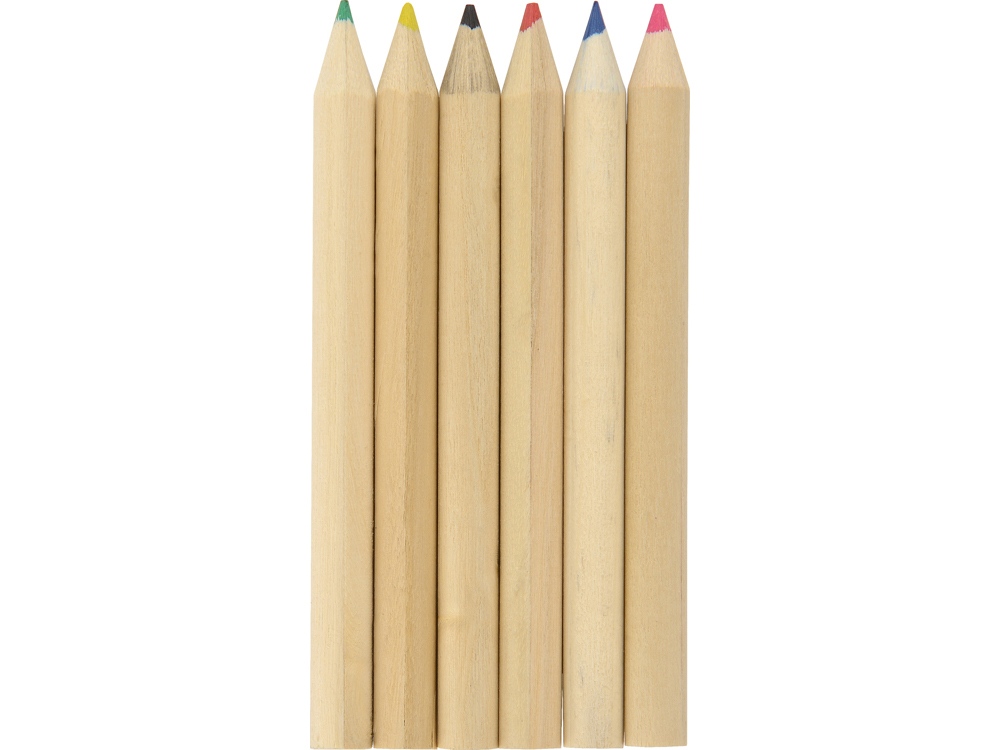Цветные карандаши в тубусе (Фото)