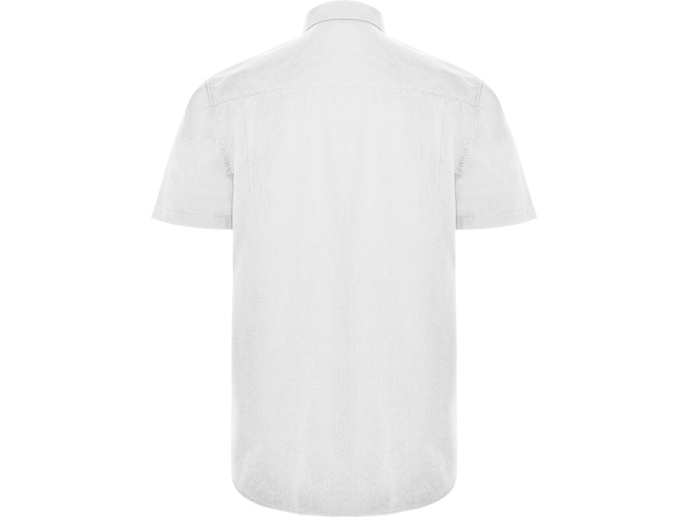 Рубашка Aifos мужская с коротким рукавом (Фото)