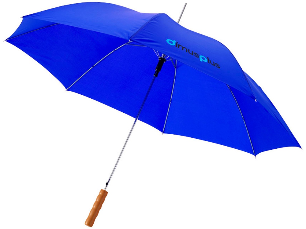 Зонт-трость Lisa (Фото)