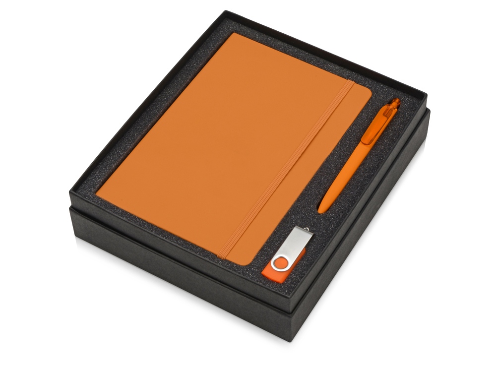 Подарочный набор Vision Pro Plus soft-touch с флешкой, ручкой и блокнотом А5 (Фото)