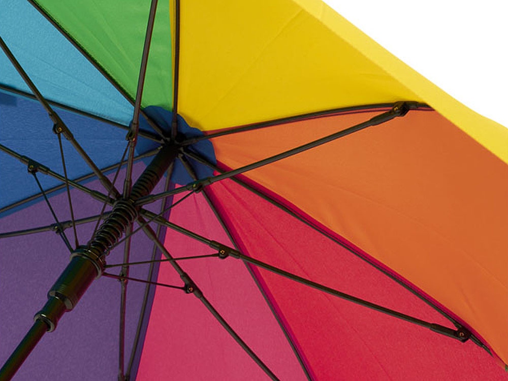Зонт-трость Sarah (Фото)