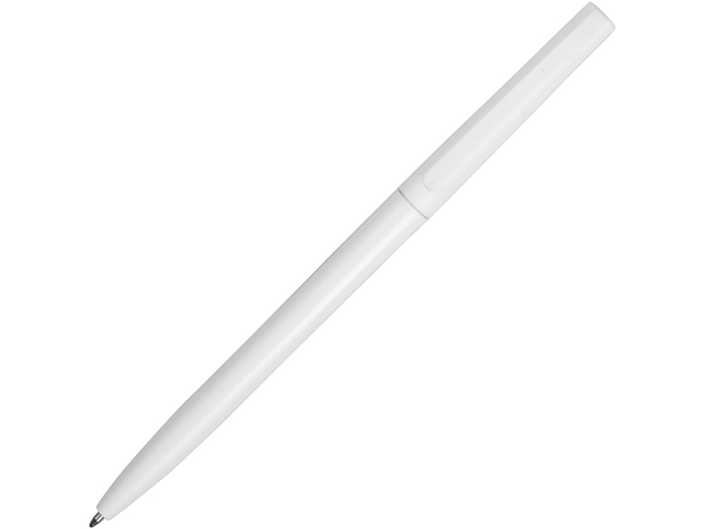 Ручка пластиковая шариковая Reedy (Фото)