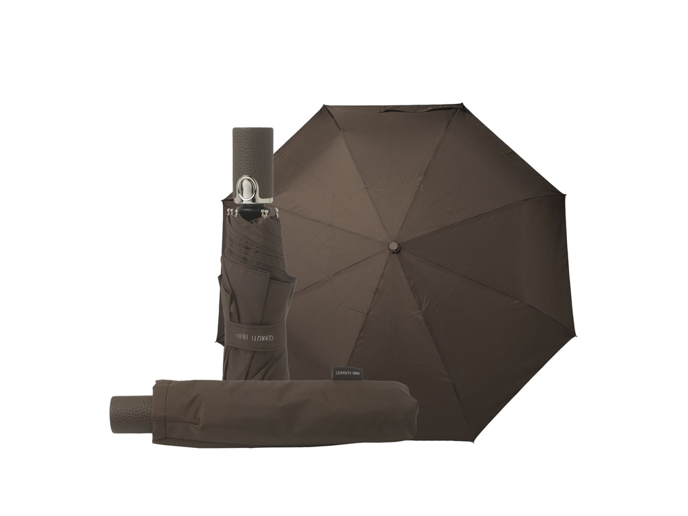 Зонт складной Hamilton (Фото)