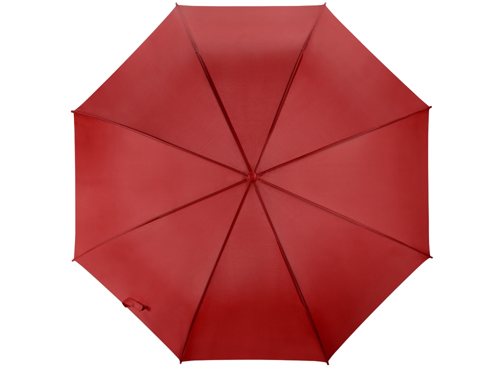 Зонт-трость Яркость (Фото)