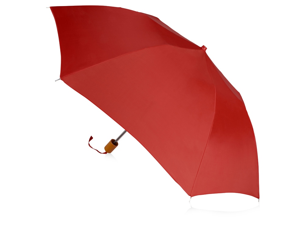 Зонт складной Oho (Фото)