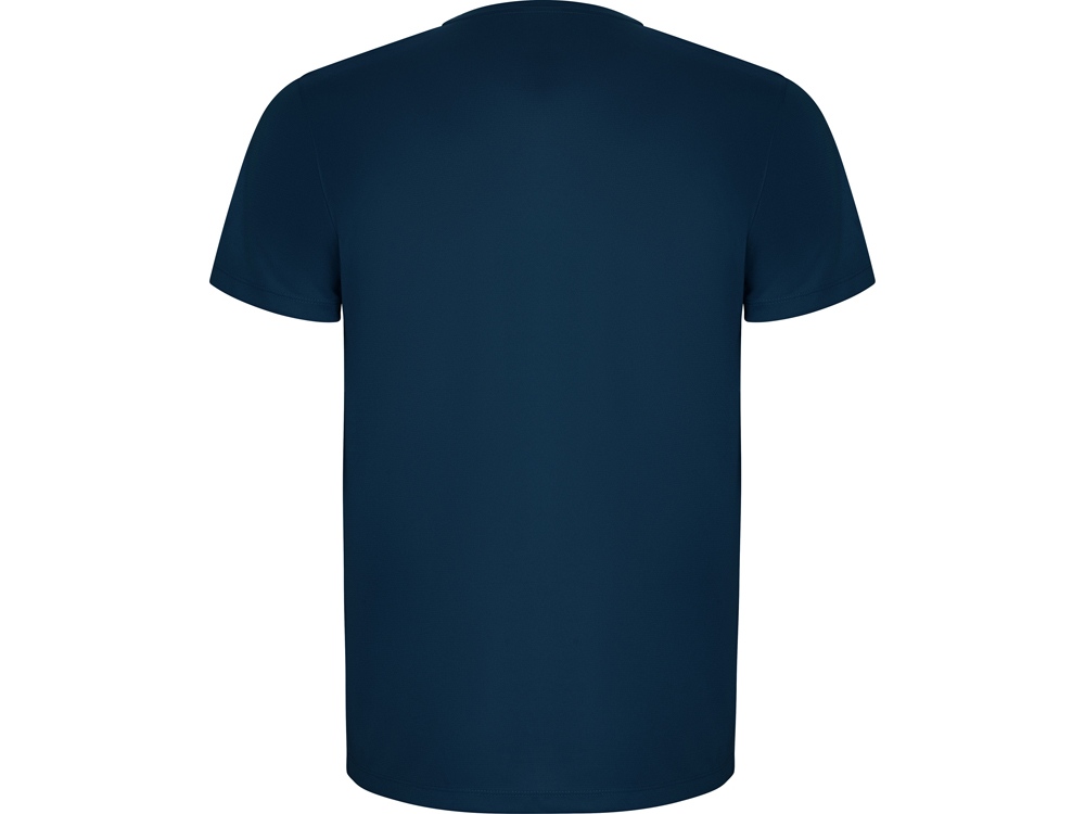 Спортивная футболка Imola мужская (Фото)