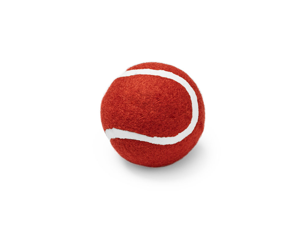 Мяч для домашних животных LANZA (Фото)