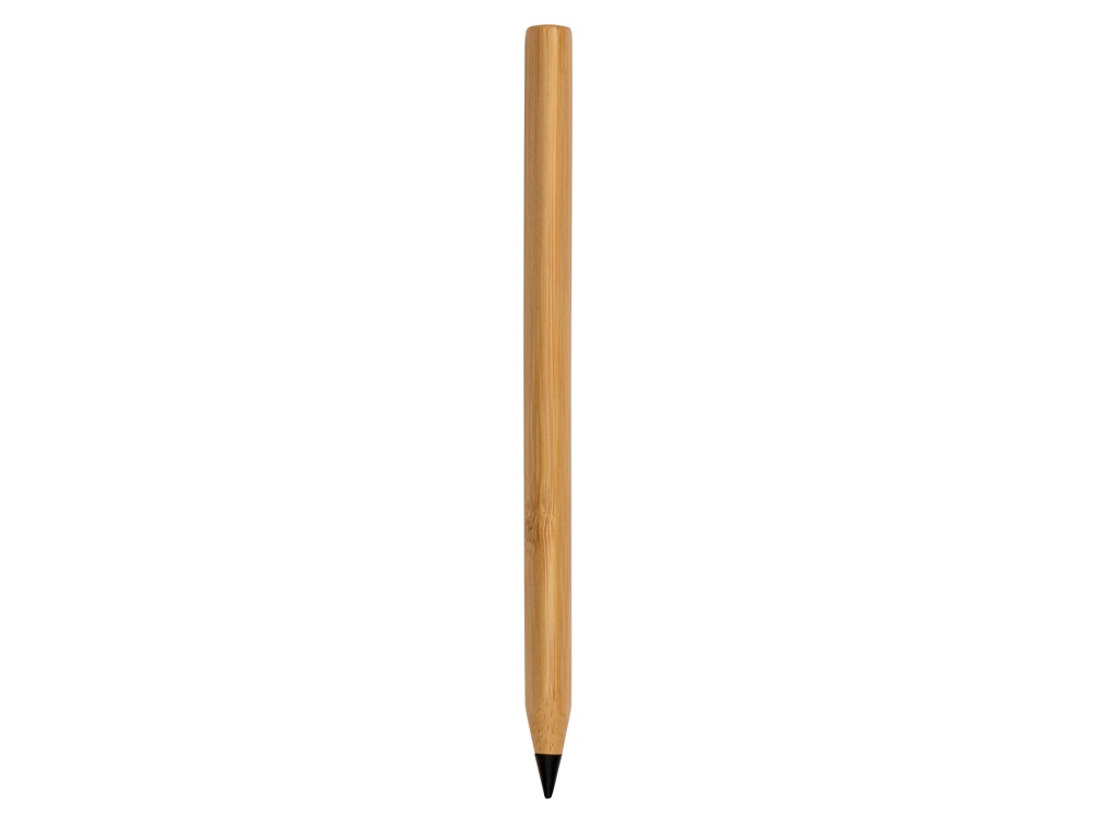 Вечный карандаш Picasso Eco (Фото)