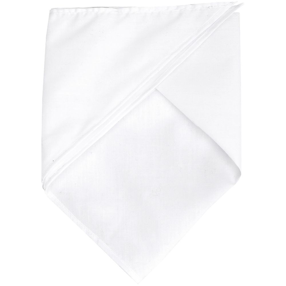 Шейный платок Bandana, белый (Миниатюра WWW (1000))