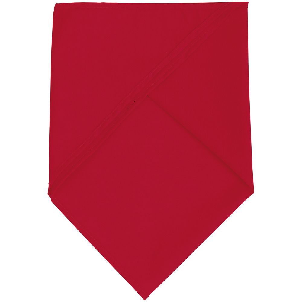 Шейный платок Bandana, красный (Миниатюра WWW (1000))