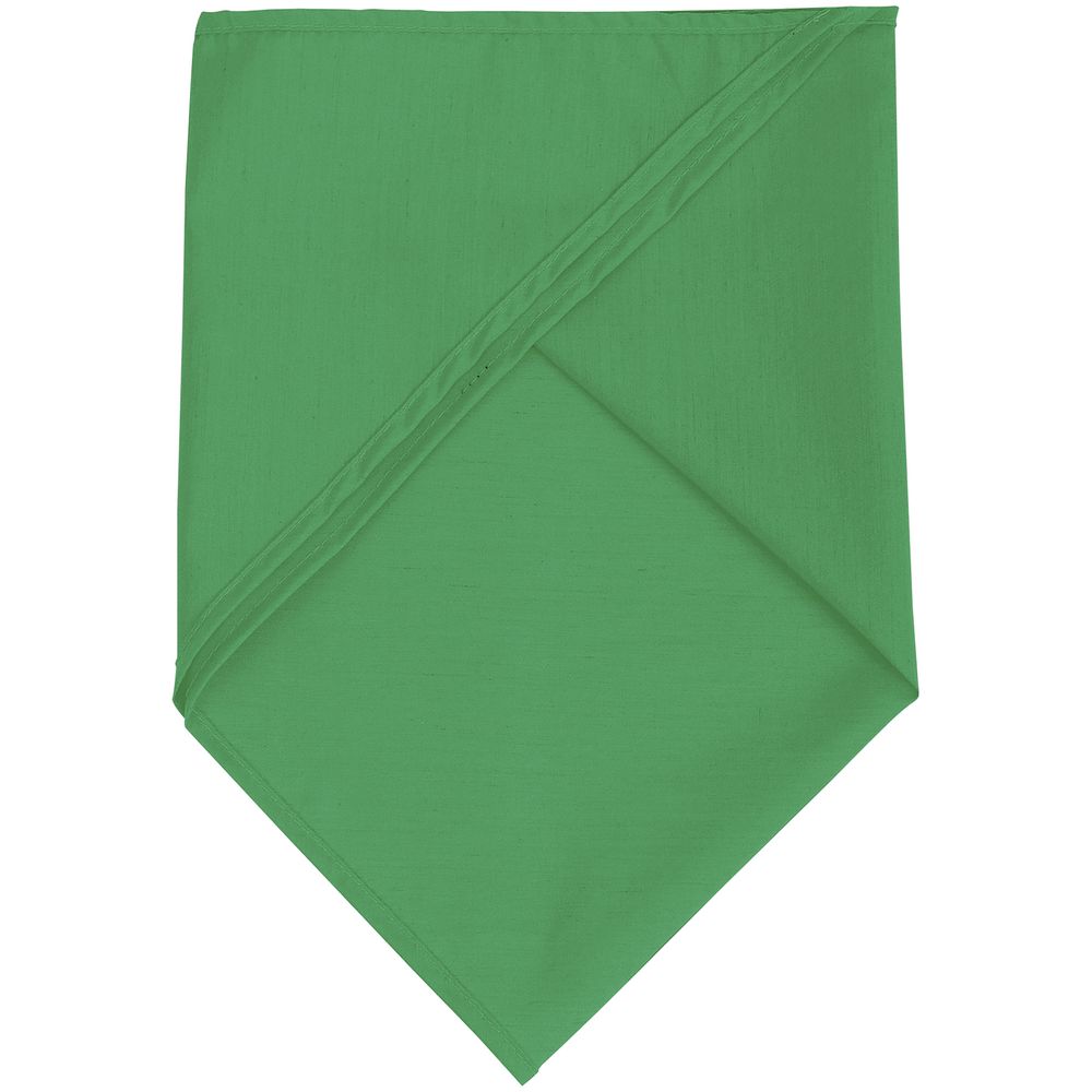 Шейный платок Bandana, ярко-зеленый (Миниатюра WWW (1000))