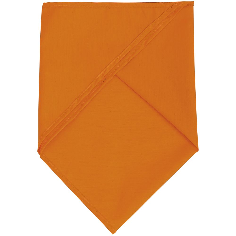 Шейный платок Bandana, оранжевый (Миниатюра WWW (1000))
