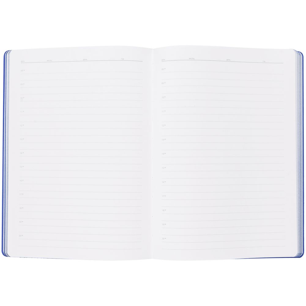 Ежедневник Flexpen, недатированный, серебристо-синий (Миниатюра WWW (1000))