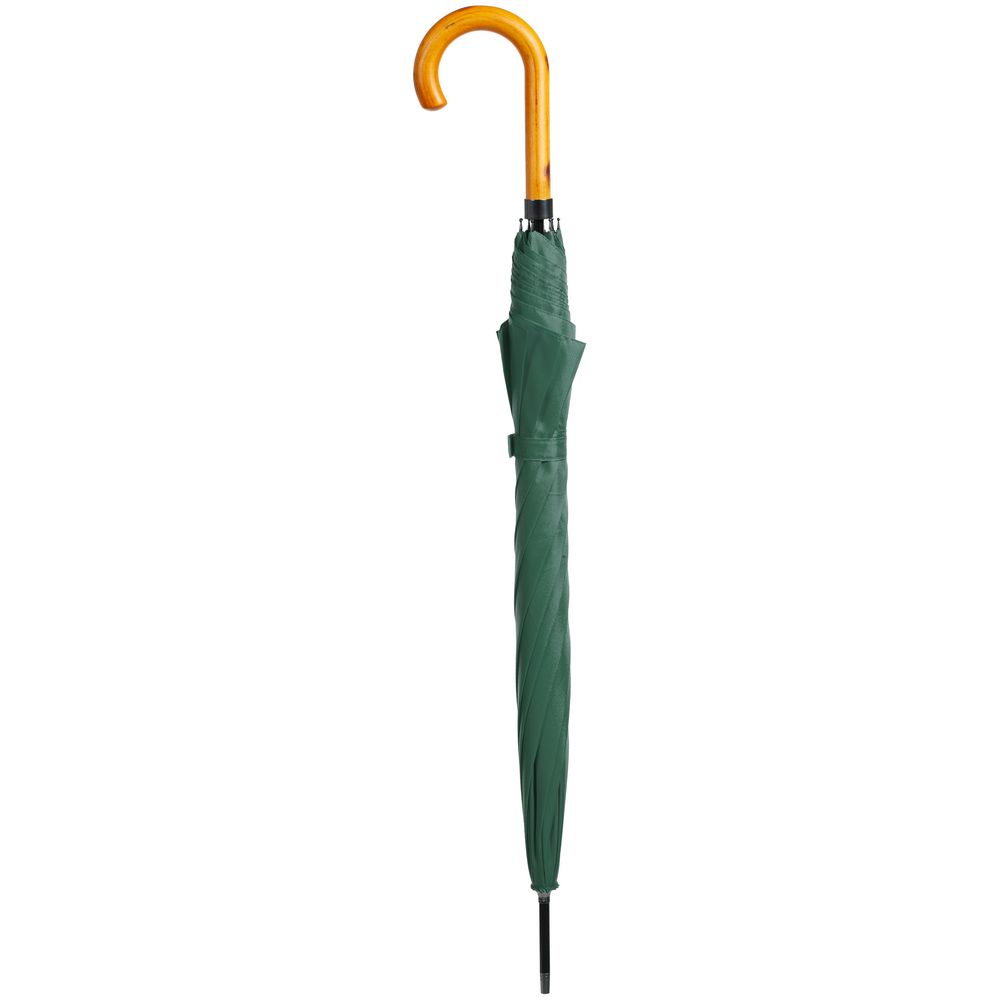 Зонт-трость LockWood, зеленый (Миниатюра WWW (1000))