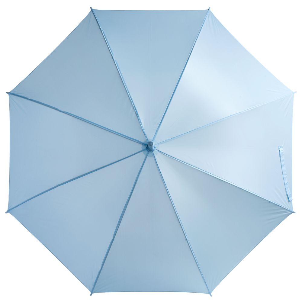 Зонт-трость Promo, голубой (Миниатюра WWW (1000))