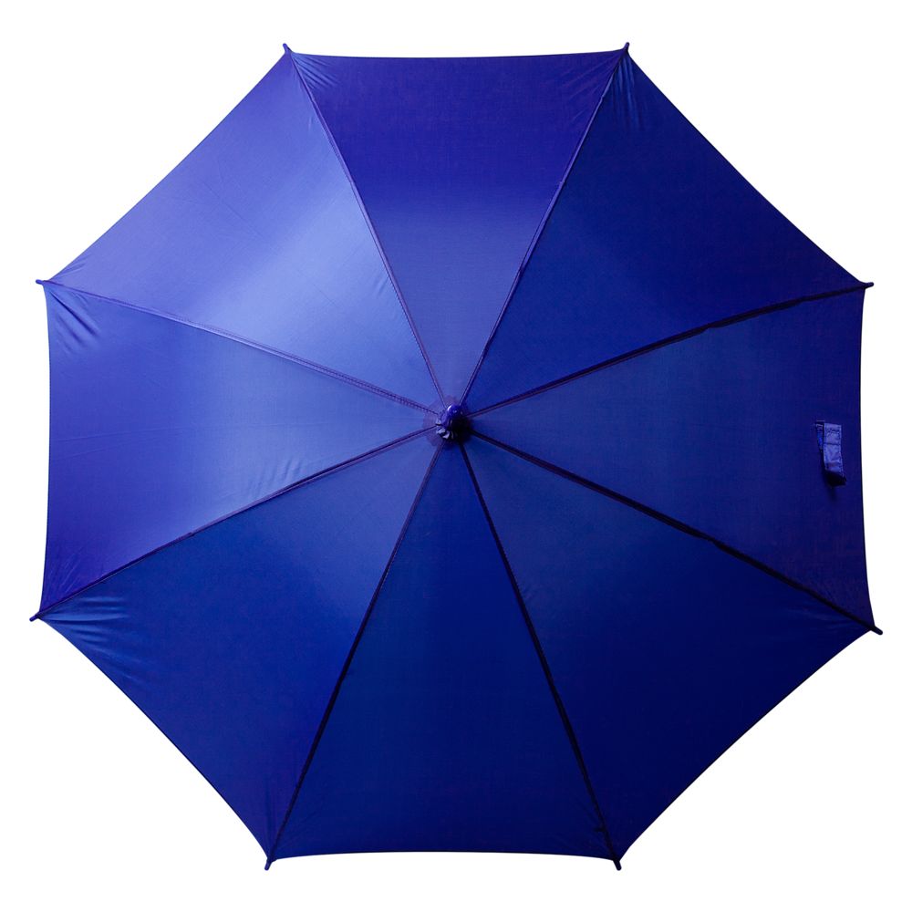 Зонт-трость Promo, синий (Миниатюра WWW (1000))
