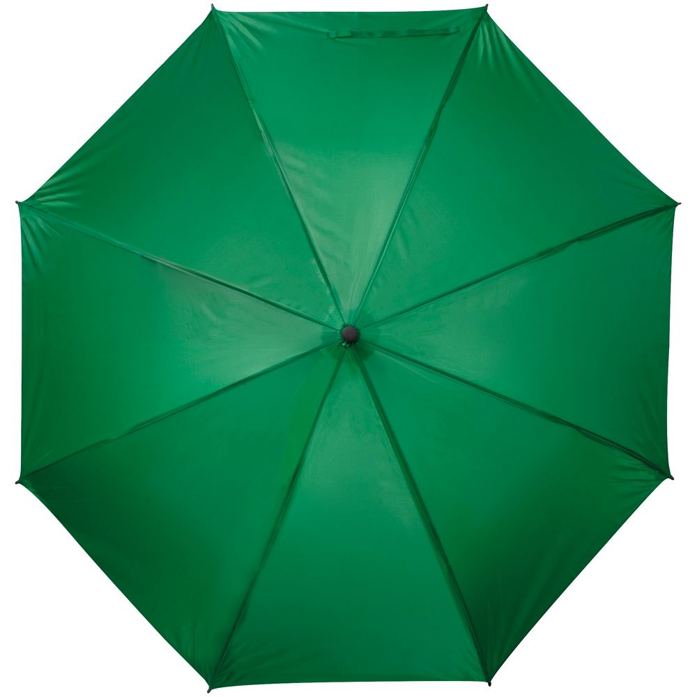 Зонт-трость Charme, зеленый (Миниатюра WWW (1000))
