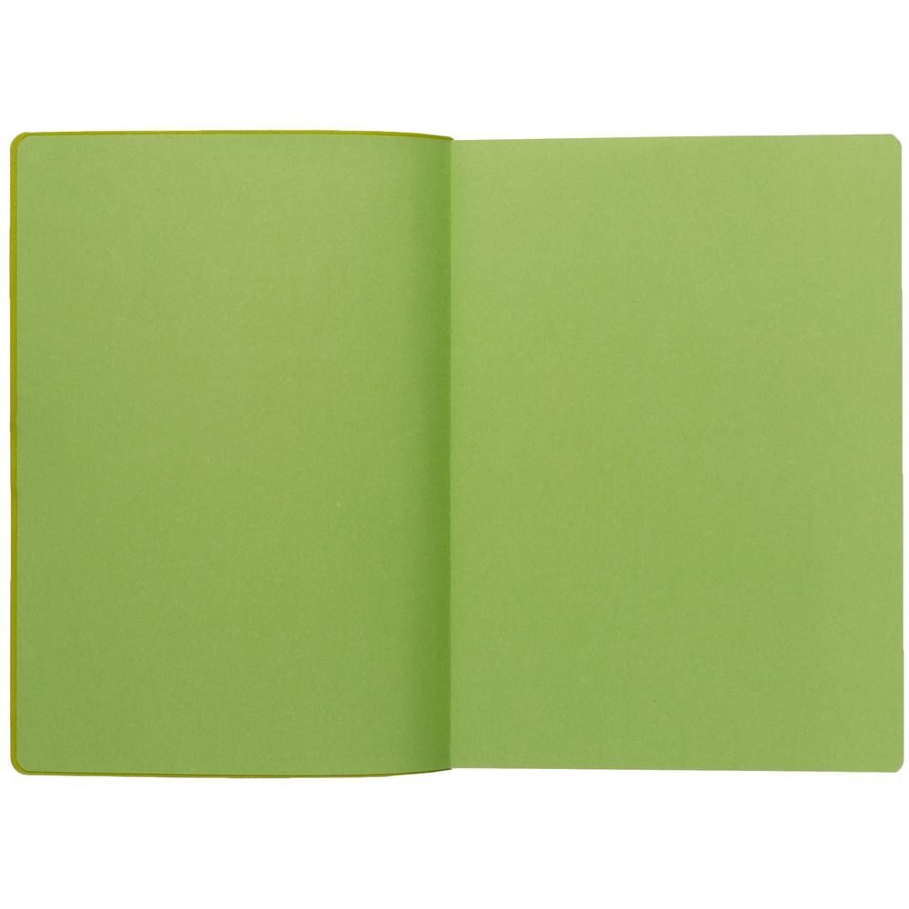 Ежедневник Flexpen Black, недатированный, черный с зеленым (Миниатюра WWW (1000))