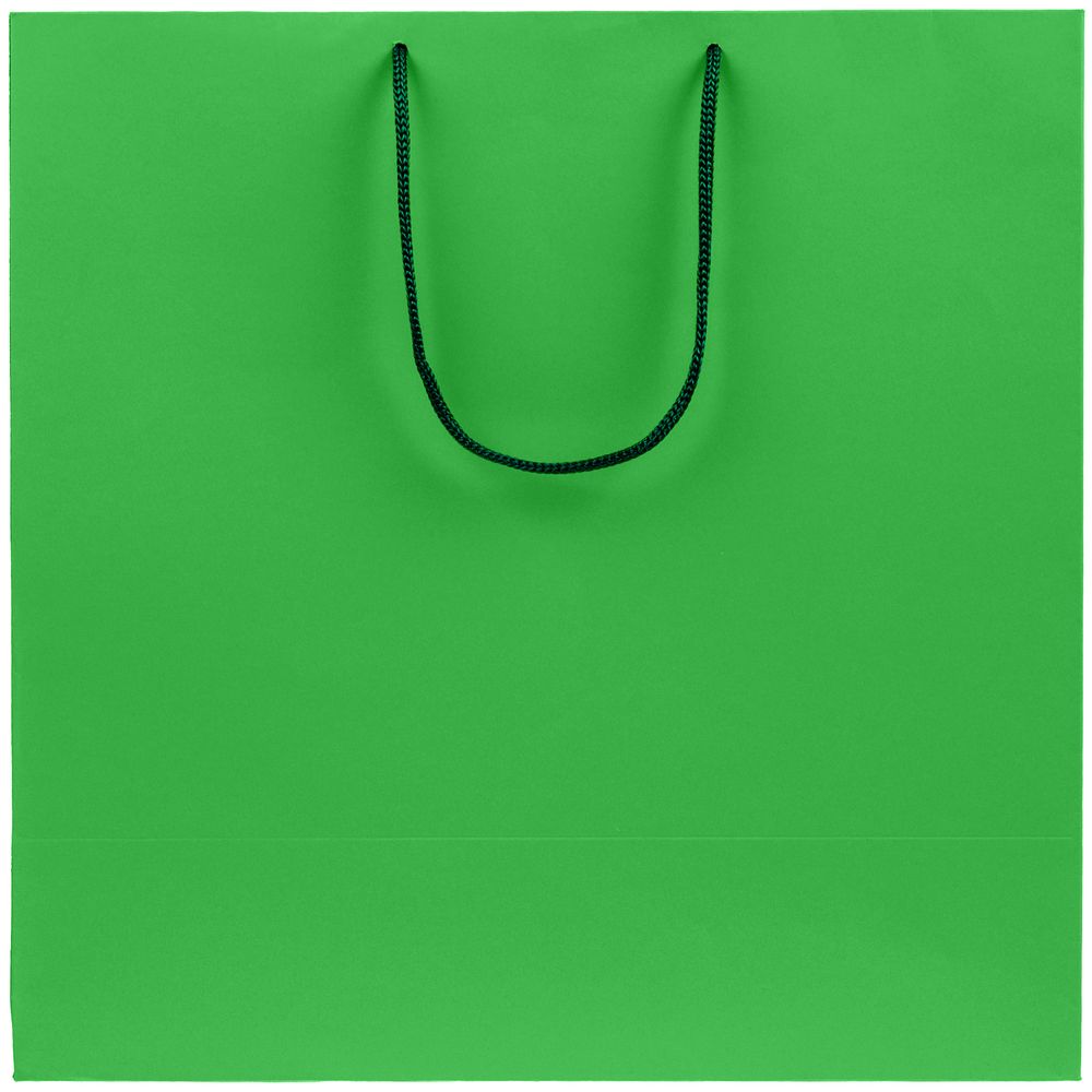 Пакет бумажный Porta L, зеленый (Миниатюра WWW (1000))