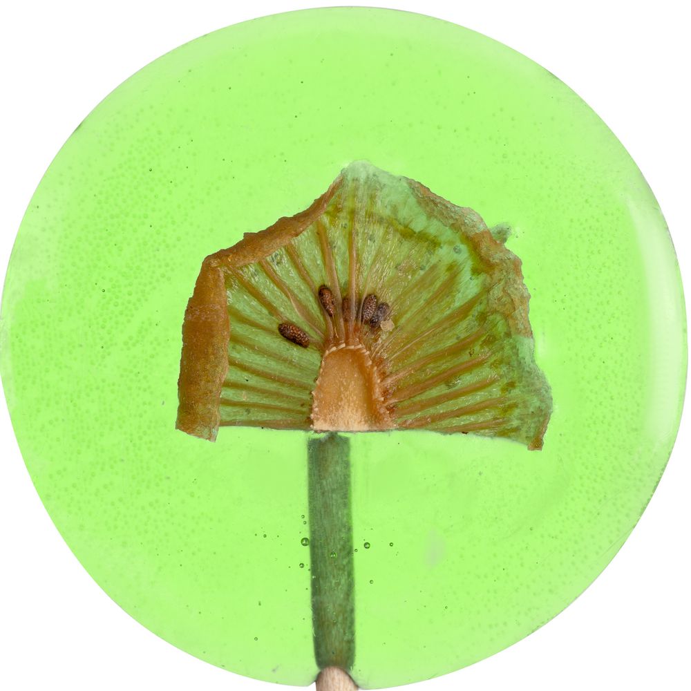Леденец Lollifruit, зеленый с киви (Миниатюра WWW (1000))