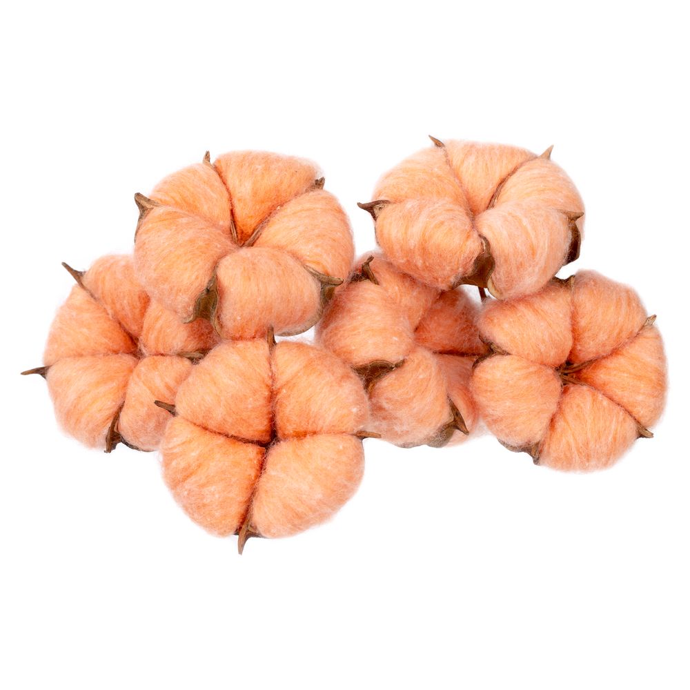 Цветок хлопка Cotton, оранжевый (Миниатюра WWW (1000))