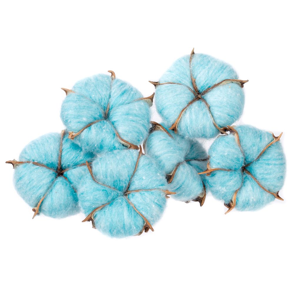 Цветок хлопка Cotton, голубой (Миниатюра WWW (1000))