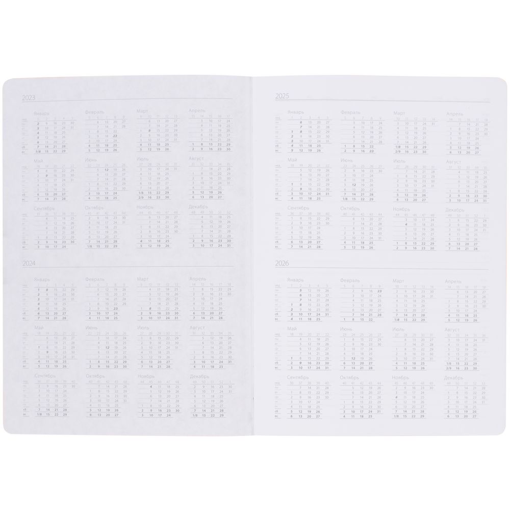 Ежедневник Frame, недатированный, бирюзовый с серым (Миниатюра WWW (1000))