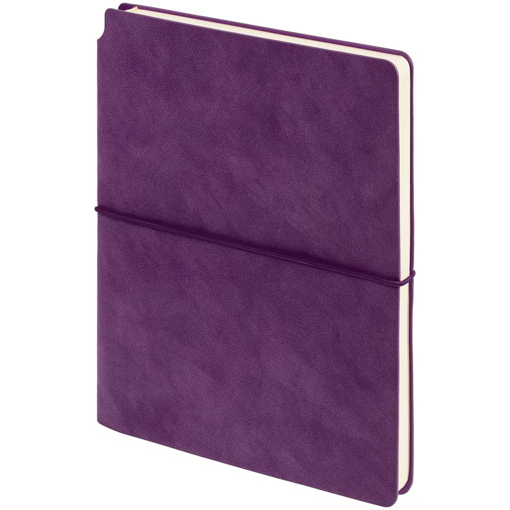 Набор Business Diary, фиолетовый (Миниатюра WWW (1000))