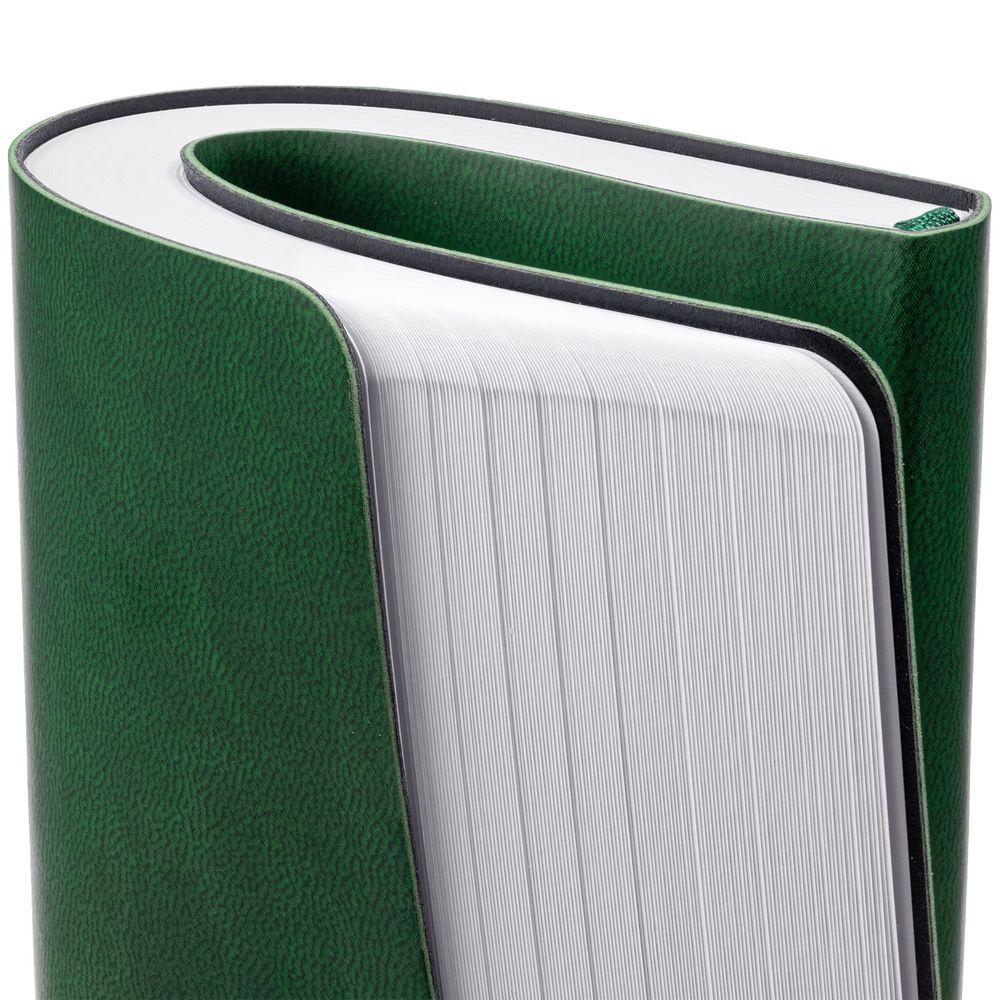 Ежедневник Romano, недатированный, зеленый (Миниатюра WWW (1000))