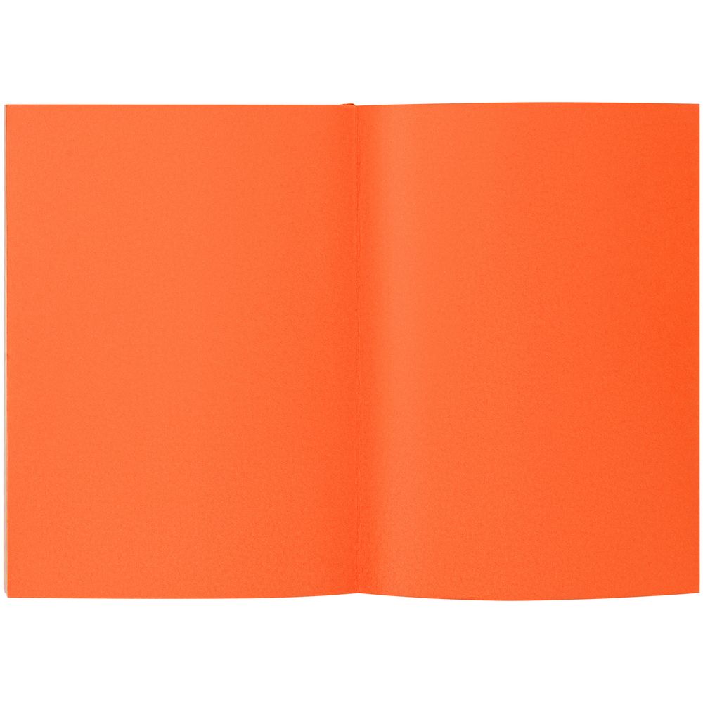 Ежедневник Flat Maxi, недатированный, оранжевый (Миниатюра WWW (1000))