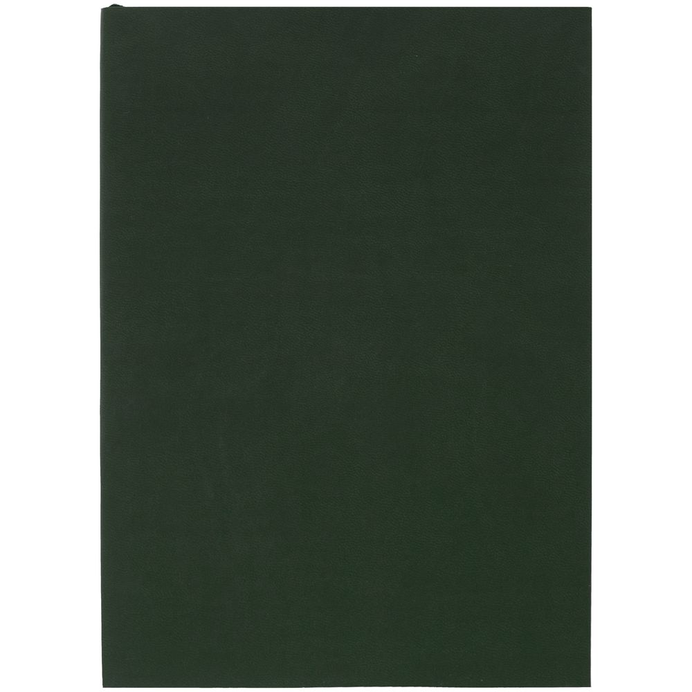 Ежедневник Flat, недатированный, зеленый (Миниатюра WWW (1000))