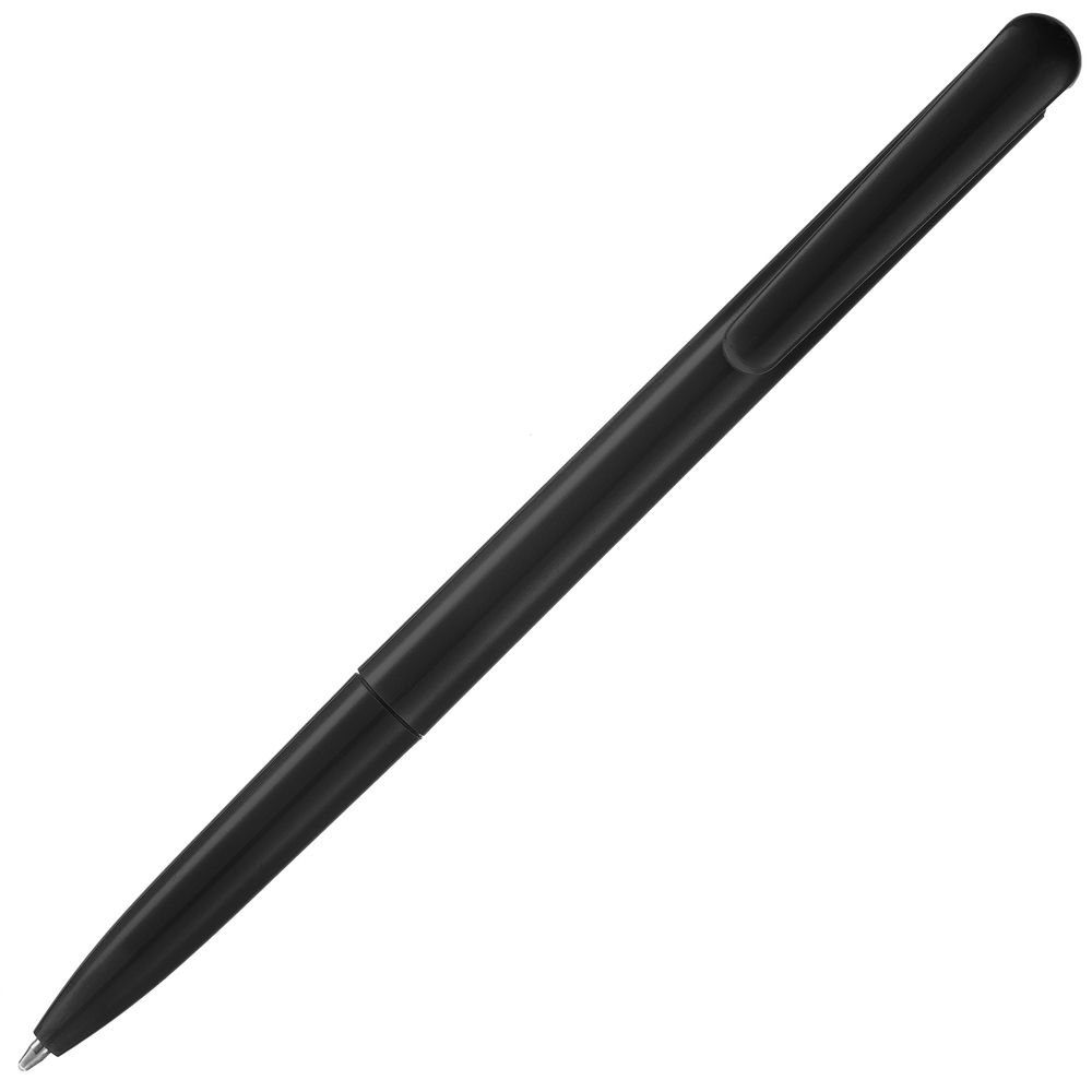 Ручка шариковая Penpal, черная (Миниатюра WWW (1000))