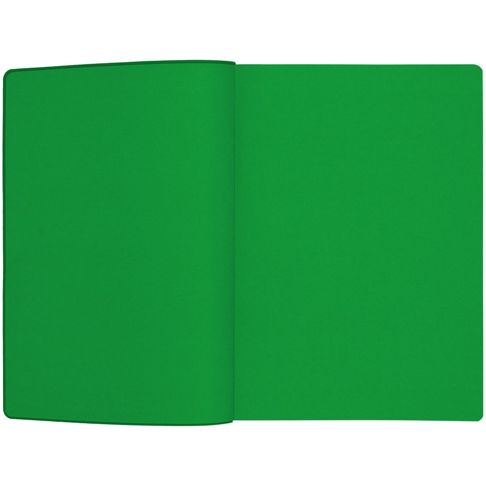 Ежедневник Flexpen Shall, недатированный, зеленый (Миниатюра WWW (1000))