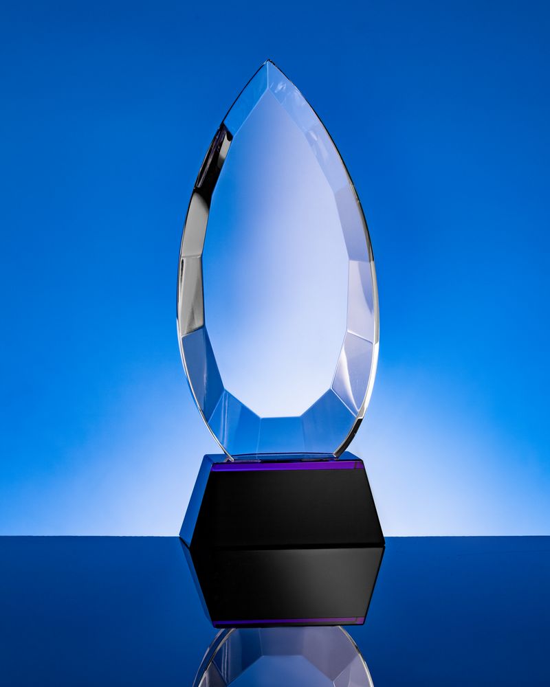 Награда Droplet (Миниатюра WWW (1000))