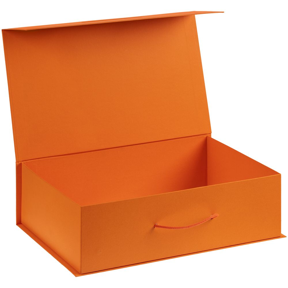 Коробка Big Case, оранжевая (Миниатюра WWW (1000))